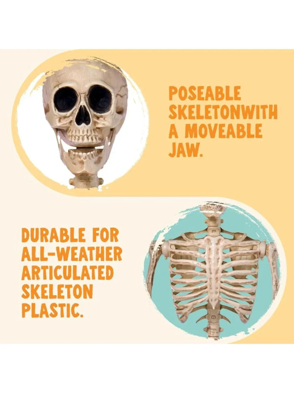 Life-Size 5FT Posable Skeleton Decor | Movable Joints for Halloween Parties
